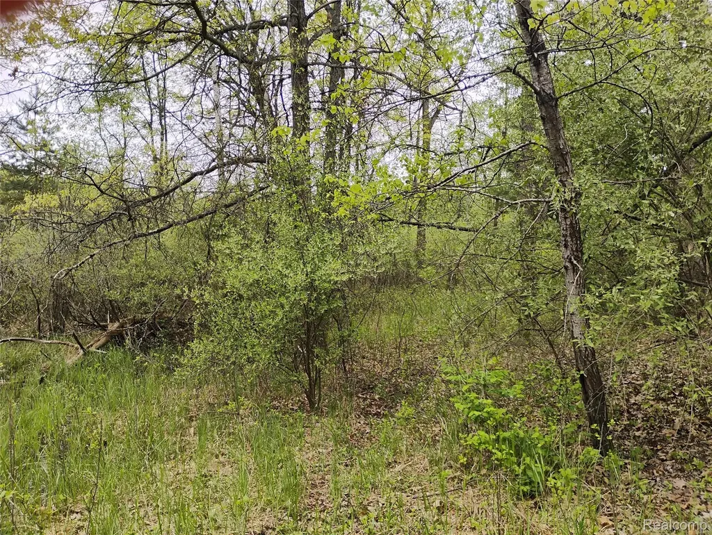 000 Middle Parcel C Middle Road Highland Charter Township MI 48357