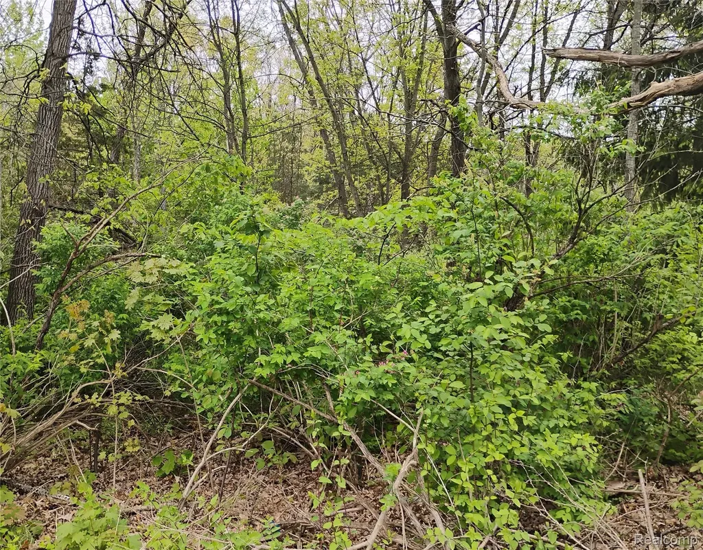 000 Middle Parcel C Middle Road Highland Charter Township MI 48357