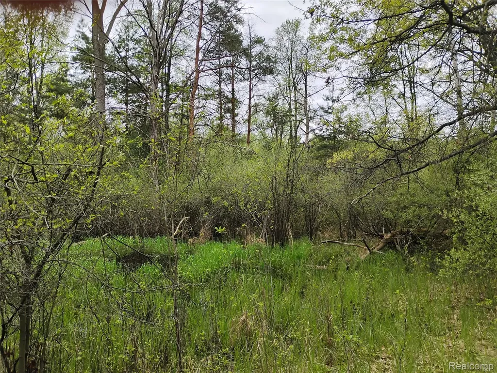 000 Middle Parcel C Middle Road Highland Charter Township MI 48357