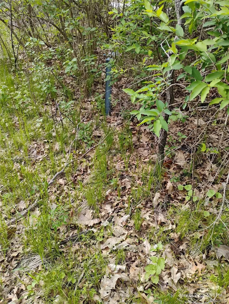 000 Middle Parcel C Middle Road Highland Charter Township MI 48357