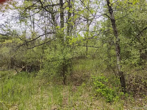 000 Middle Parcel C Middle Road Highland Charter Township MI 48357