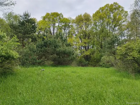 000 Middle Parcel C Middle Road Highland Charter Township MI 48357