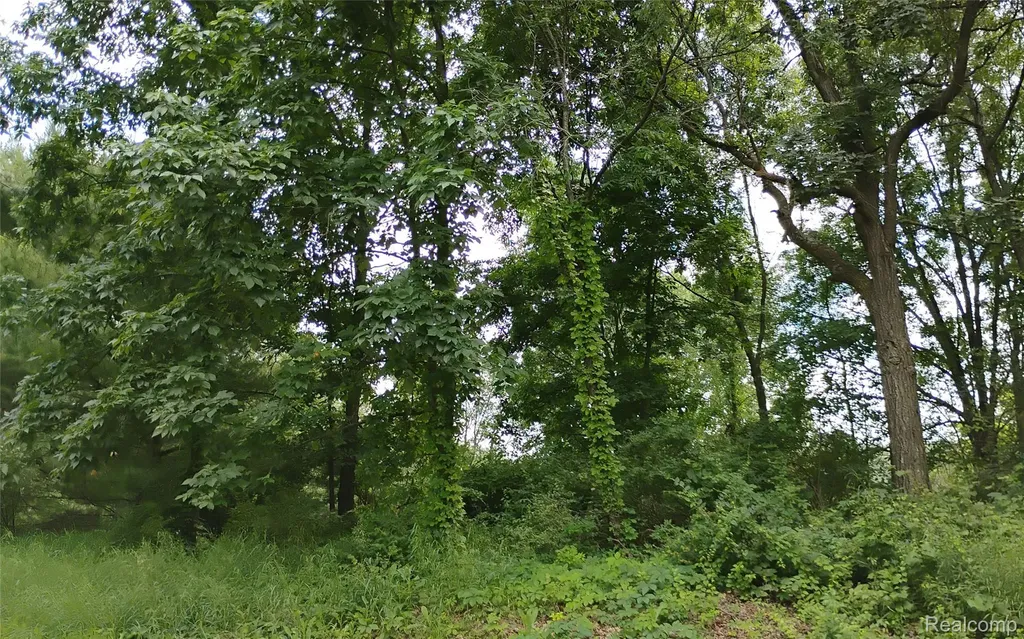 000 Middle V/l 18.12 Acre Middle Highland Charter Township MI 48357