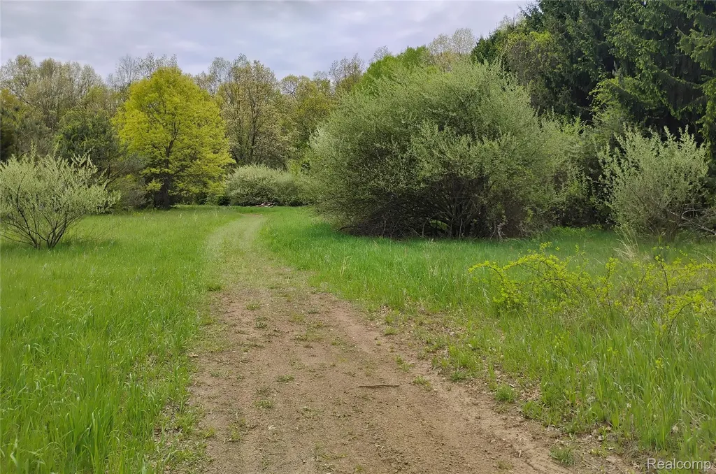 000 Middle V/l 18.12 Acre Middle Highland Charter Township MI 48357