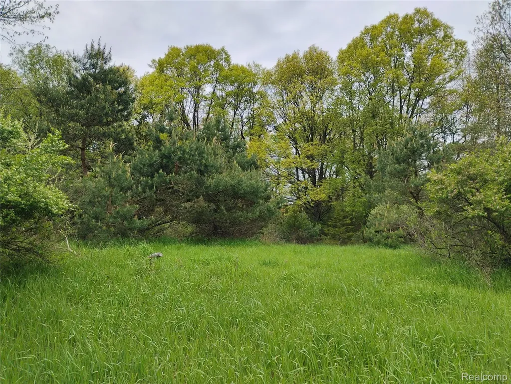 000 Middle V/l 18.12 Acre Middle Highland Charter Township MI 48357