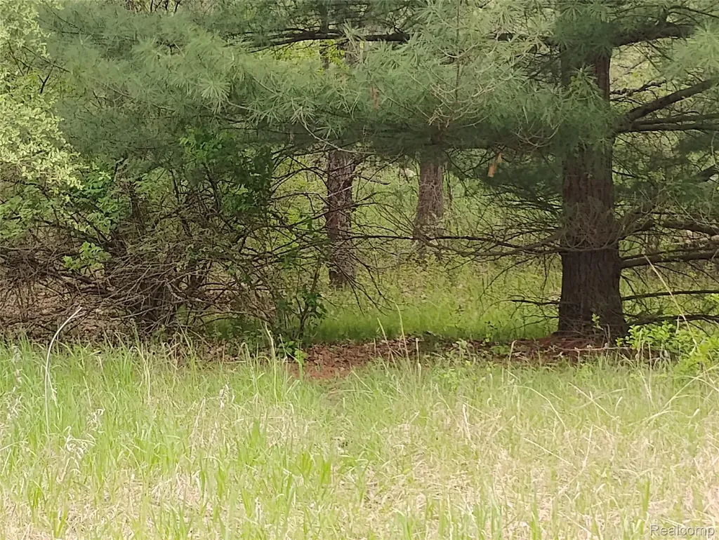 000 Middle V/l 18.12 Acre Middle Highland Charter Township MI 48357