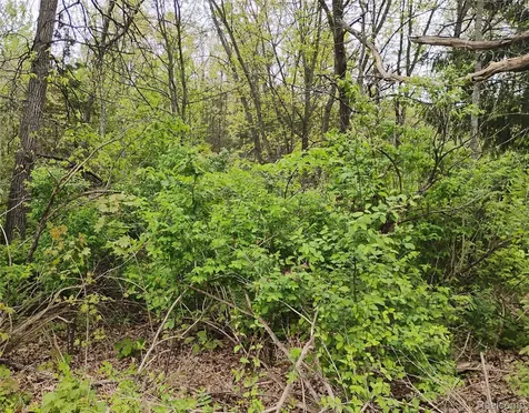 000 Middle V/L 18.12 ACES Middle Highland Charter Township MI 48357