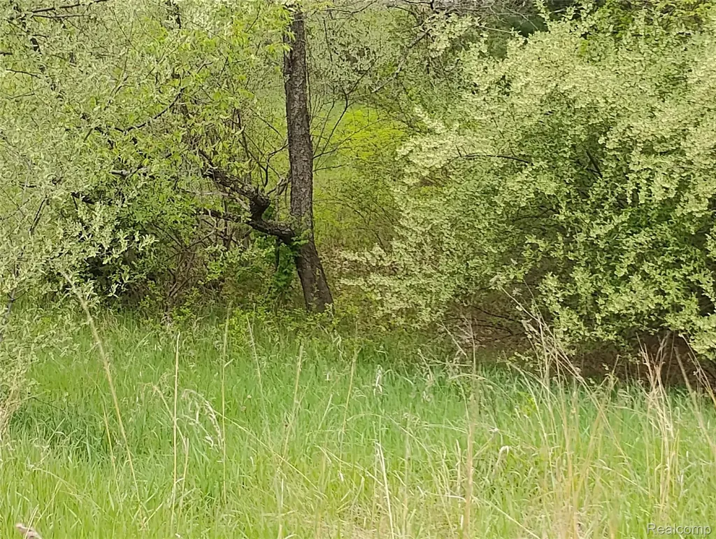 000 Middle Parcel D Middle Road Highland Charter Township MI 48357
