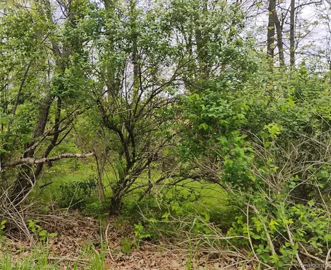 000 Middle Parcel D Middle Road Highland Charter Township MI 48357