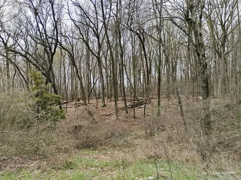 000 Middle Parcel D Middle Road Highland Charter Township MI 48357