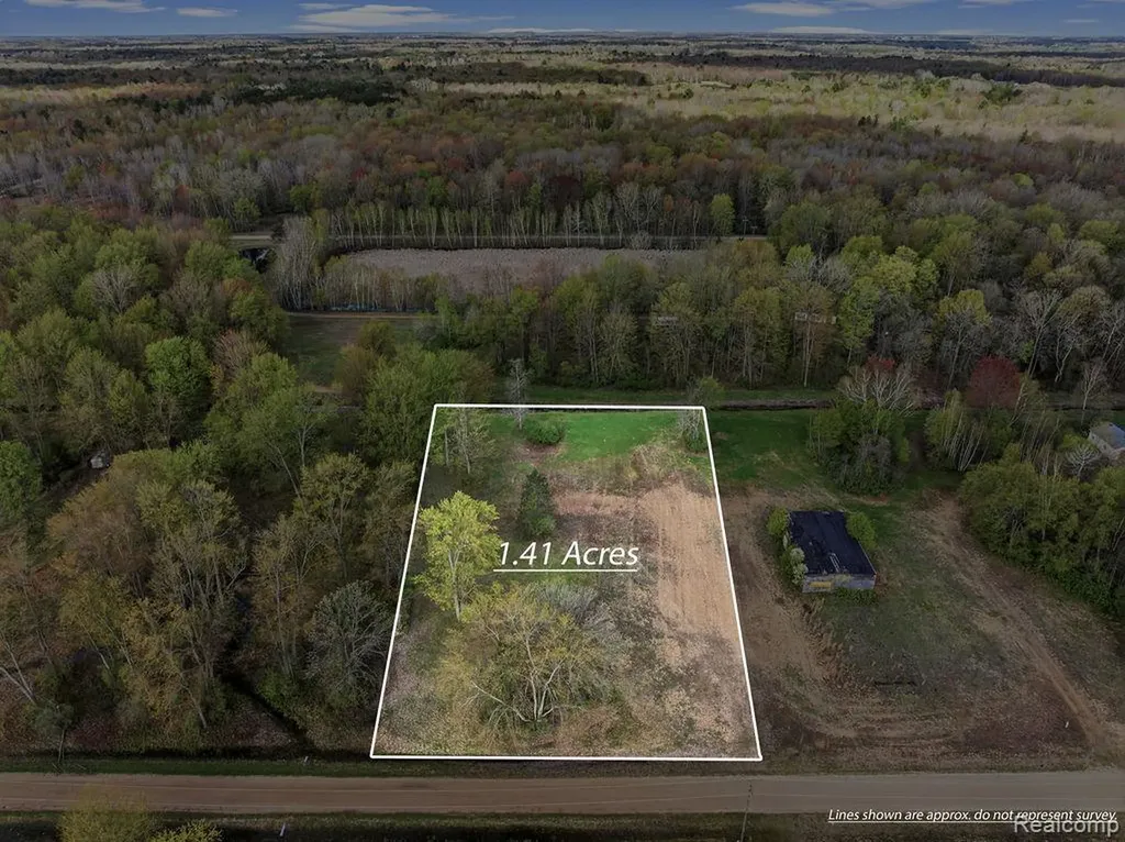 #0099 V/l Natures Nest Road Vassar Township MI 48768