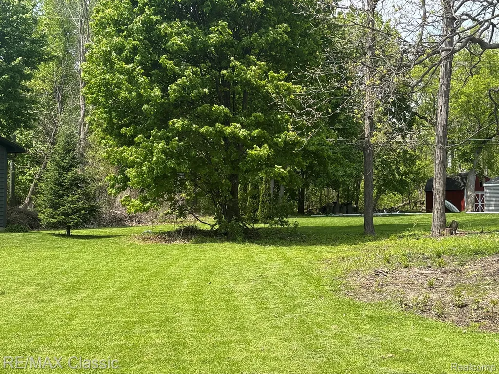 Vacant Main Street Green Oak Township MI 48189