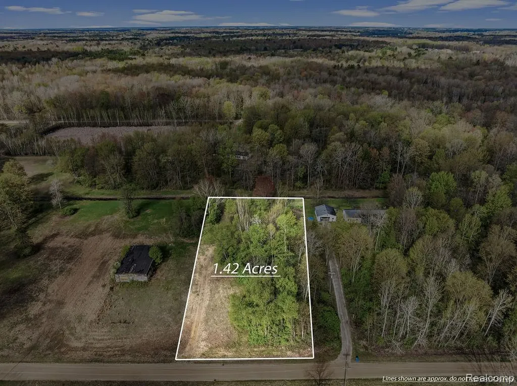 #0062 V/l Natures Nest Road Vassar Township MI 48768