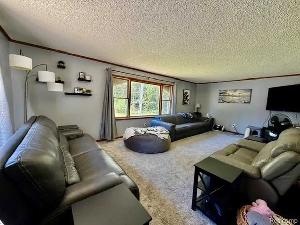 6087 Cyclone Road Marathon Township MI 48464