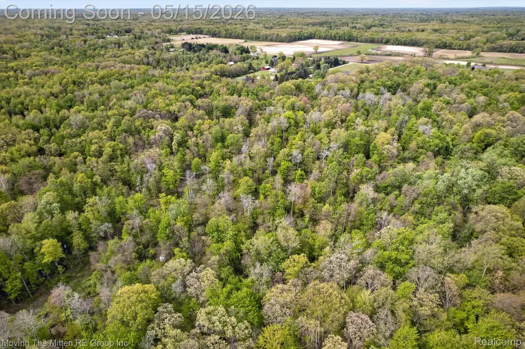 22530 Bohn Road Sumpter Township MI 48111