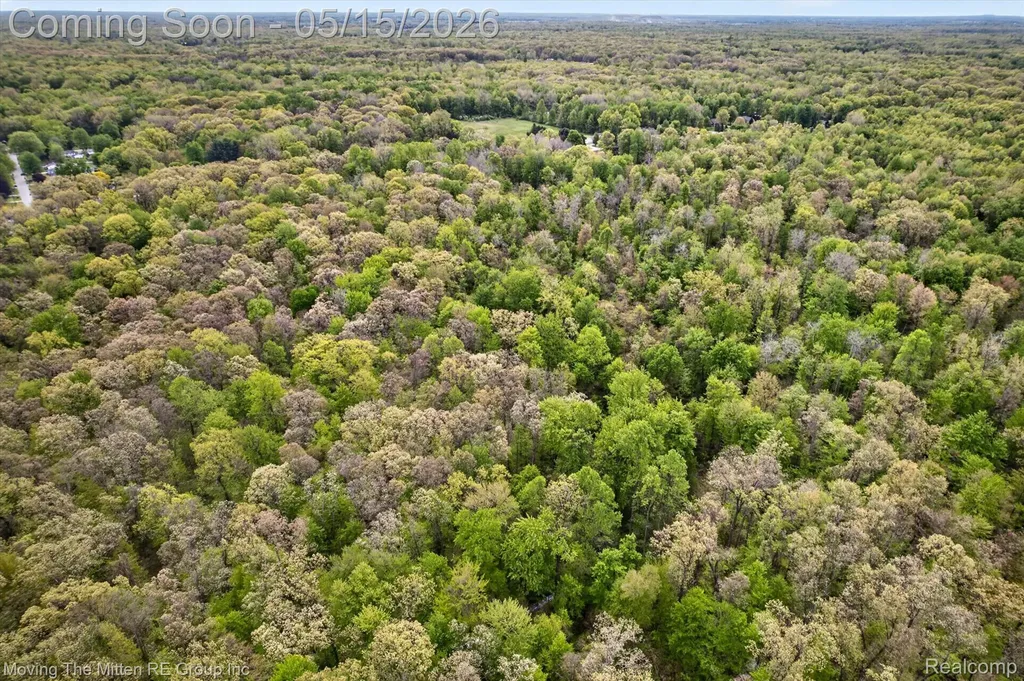 22530 Bohn Road Sumpter Township MI 48111