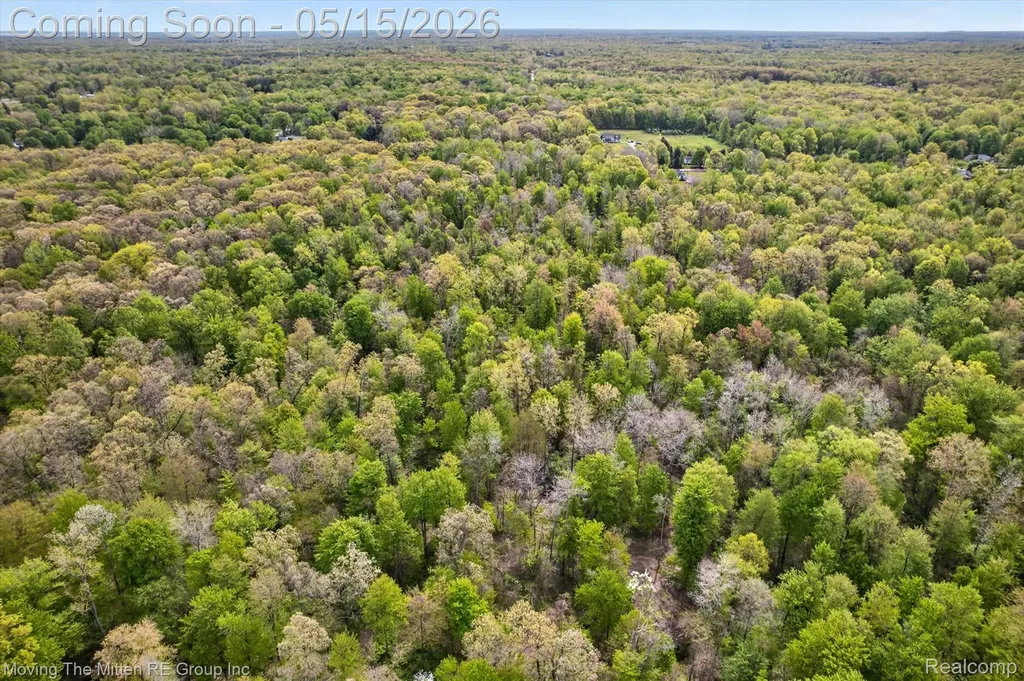 22530 Bohn Road Sumpter Township MI 48111