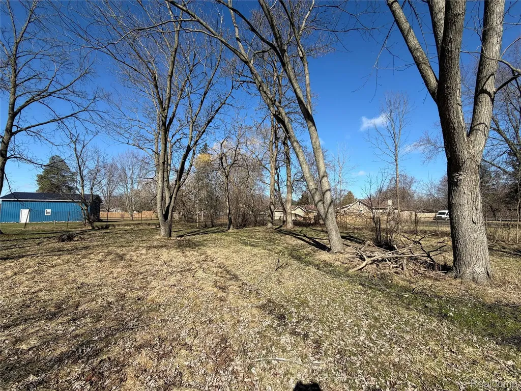1038 W Pine Avenue Mt. Morris Township MI 48458