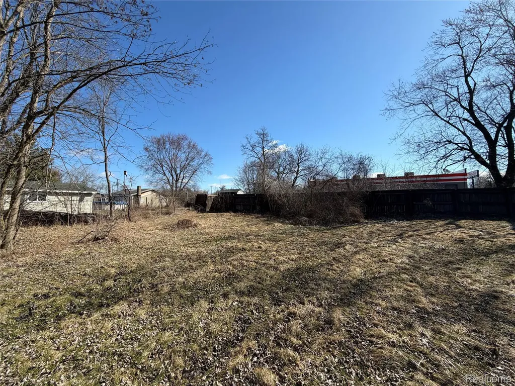 1038 W Pine Avenue Mt. Morris Township MI 48458