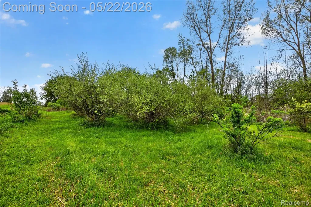 7950 Mayville Road Koylton Township MI 48453