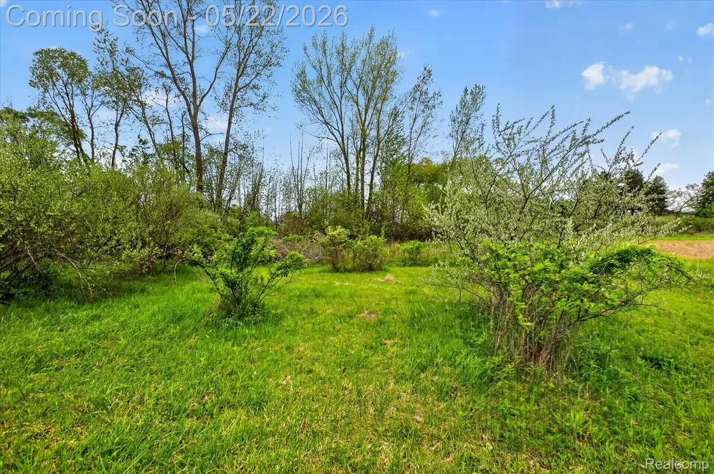 7950 Mayville Road Koylton Township MI 48453