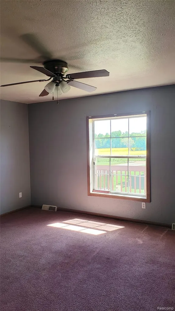12793 Gibbs Road Springport Township MI 49284