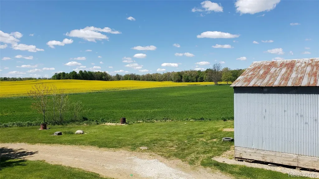 12793 Gibbs Road Springport Township MI 49284