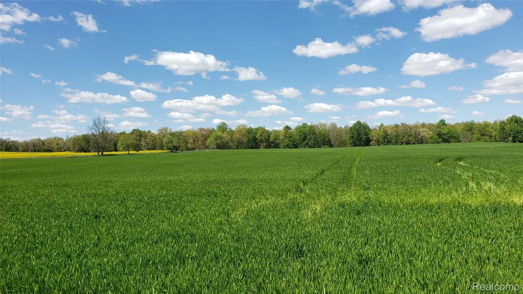 12793 Gibbs Road Springport Township MI 49284