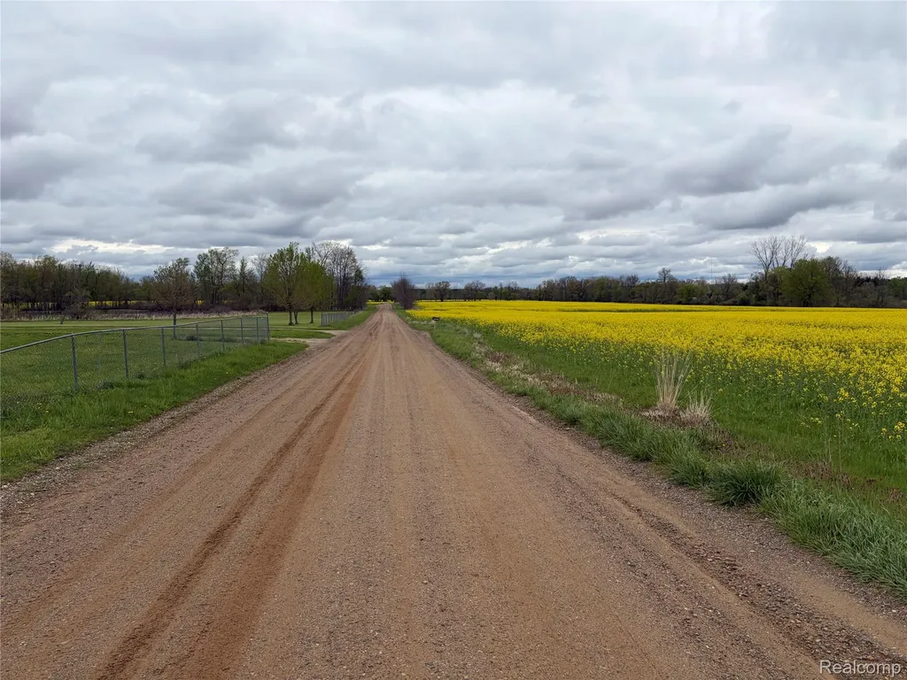 12793 Gibbs Road Springport Township MI 49284