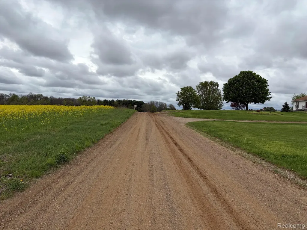 12793 Gibbs Road Springport Township MI 49284