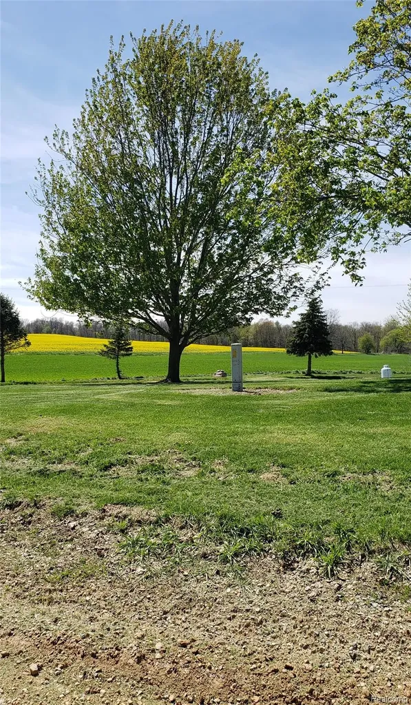12793 Gibbs Road Springport Township MI 49284