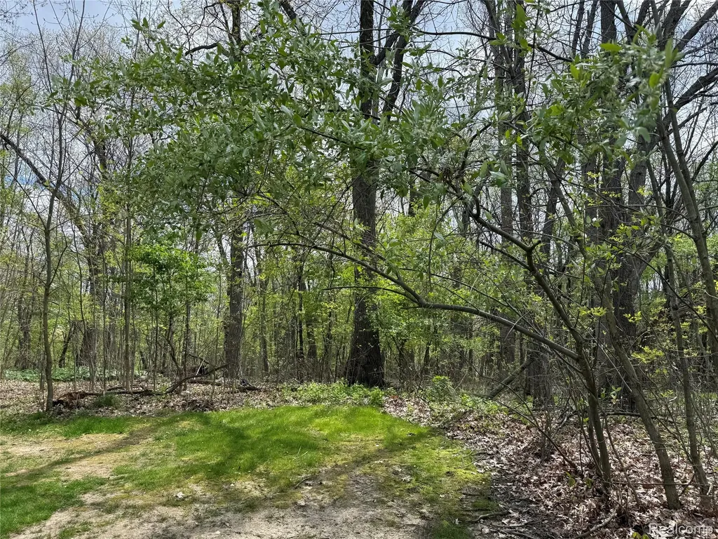 Lot 25 Hidden Ridge Trail Tyrone Township MI 48430