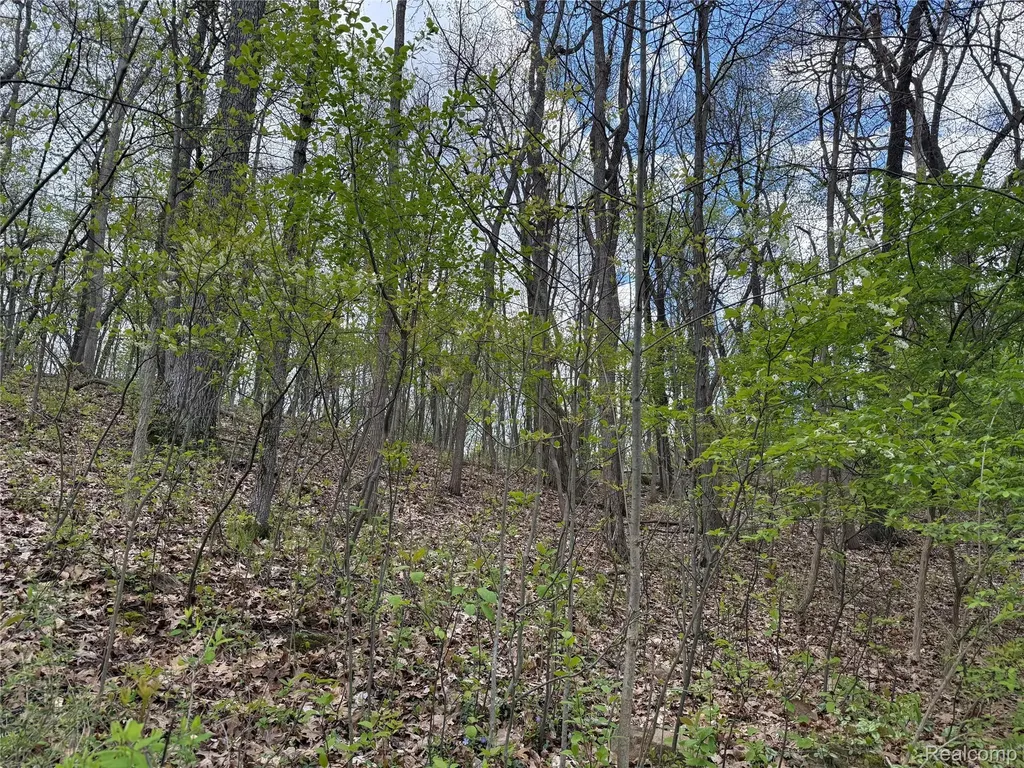 Lot 25 Hidden Ridge Trail Tyrone Township MI 48430