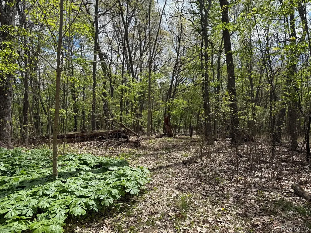 Lot 25 Hidden Ridge Trail Tyrone Township MI 48430