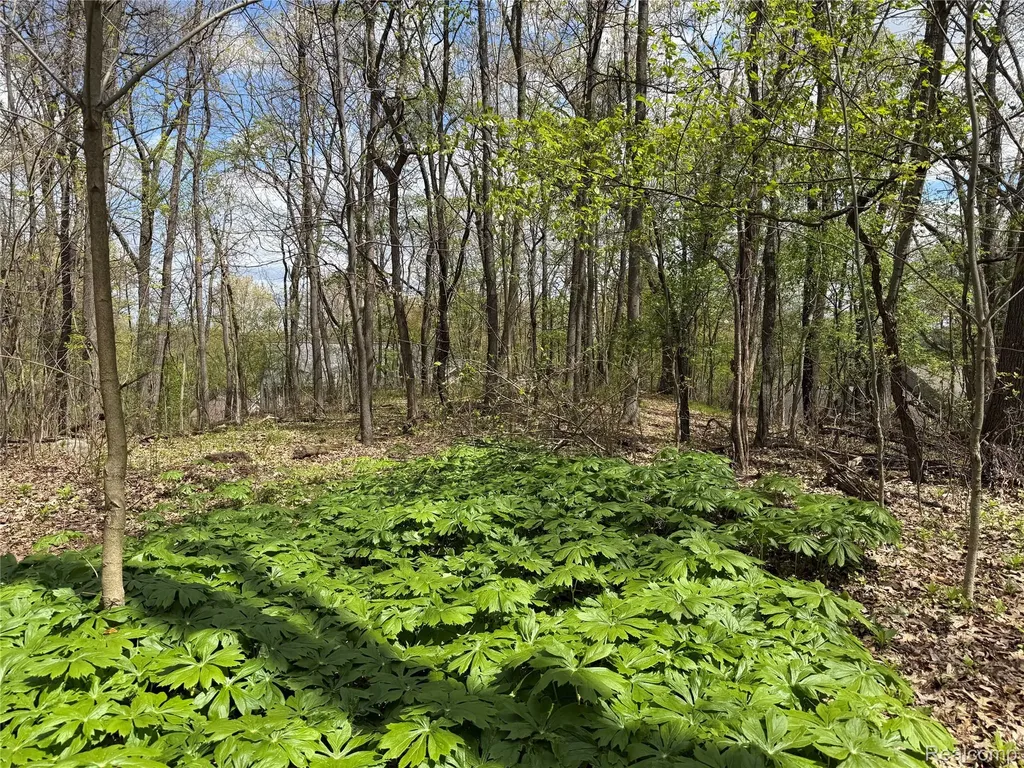 Lot 25 Hidden Ridge Trail Tyrone Township MI 48430