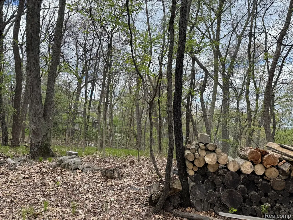 Lot 25 Hidden Ridge Trail Tyrone Township MI 48430