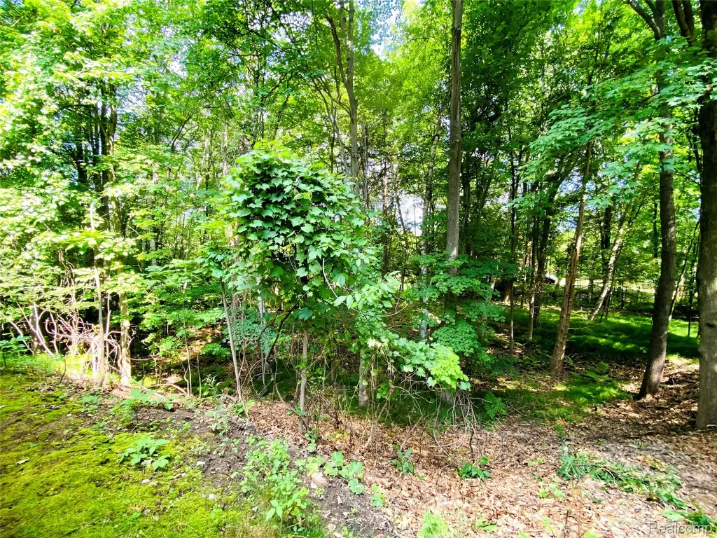 1576 Pine Knoll Lane Indianfields Township MI 48723