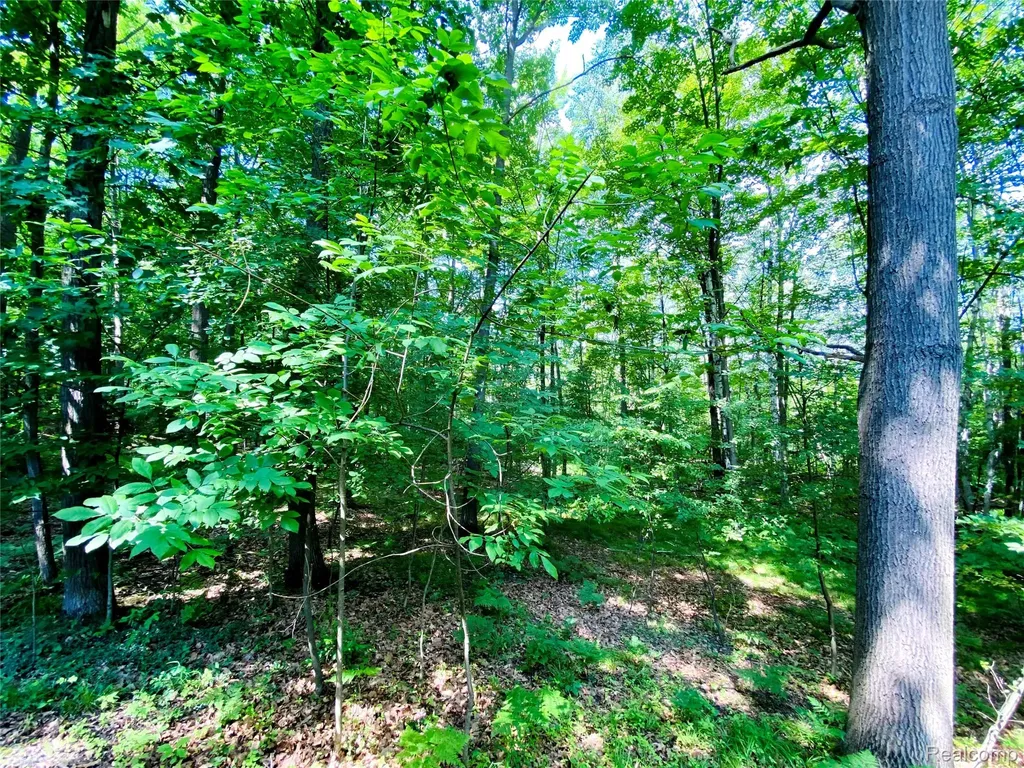 1576 Pine Knoll Lane Indianfields Township MI 48723