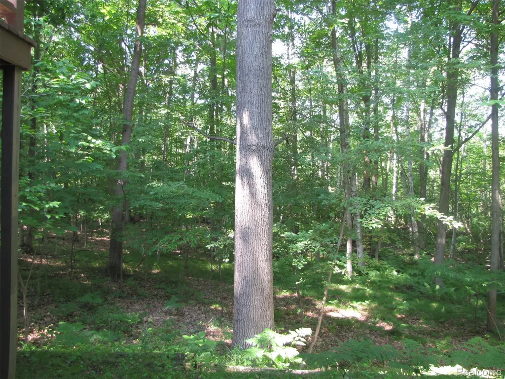 1576 Pine Knoll Lane Indianfields Township MI 48723