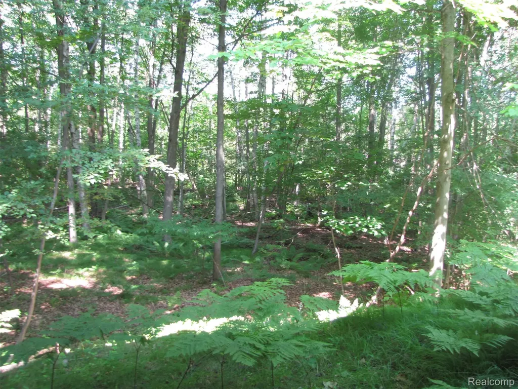 1576 Pine Knoll Lane Indianfields Township MI 48723