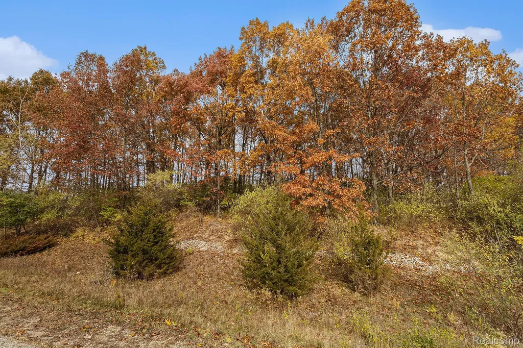11136 Delphinium Drive Tyrone Township MI 48430