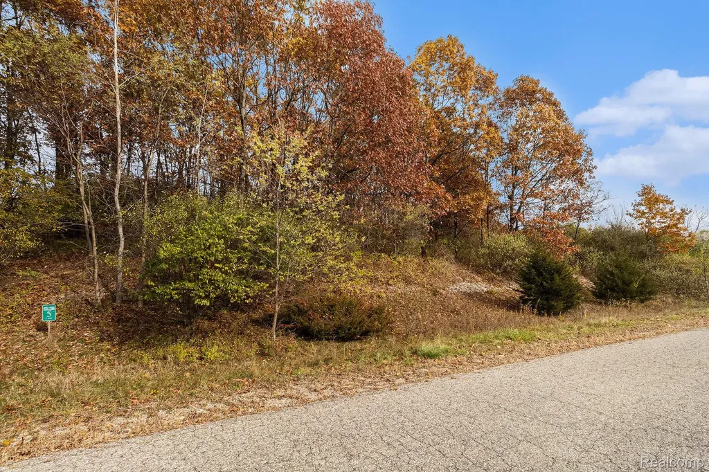 11136 Delphinium Drive Tyrone Township MI 48430