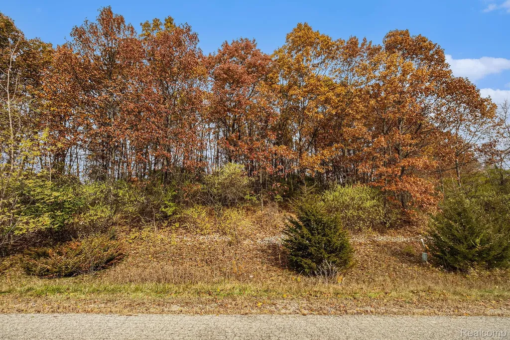 11136 Delphinium Drive Tyrone Township MI 48430