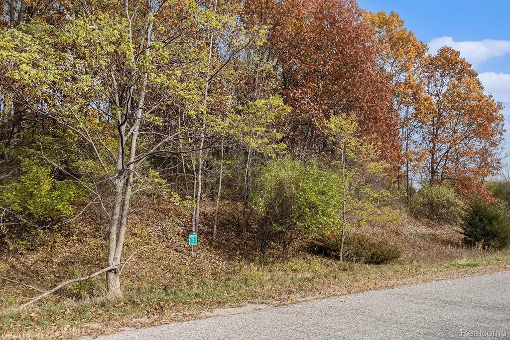 11136 Delphinium Drive Tyrone Township MI 48430