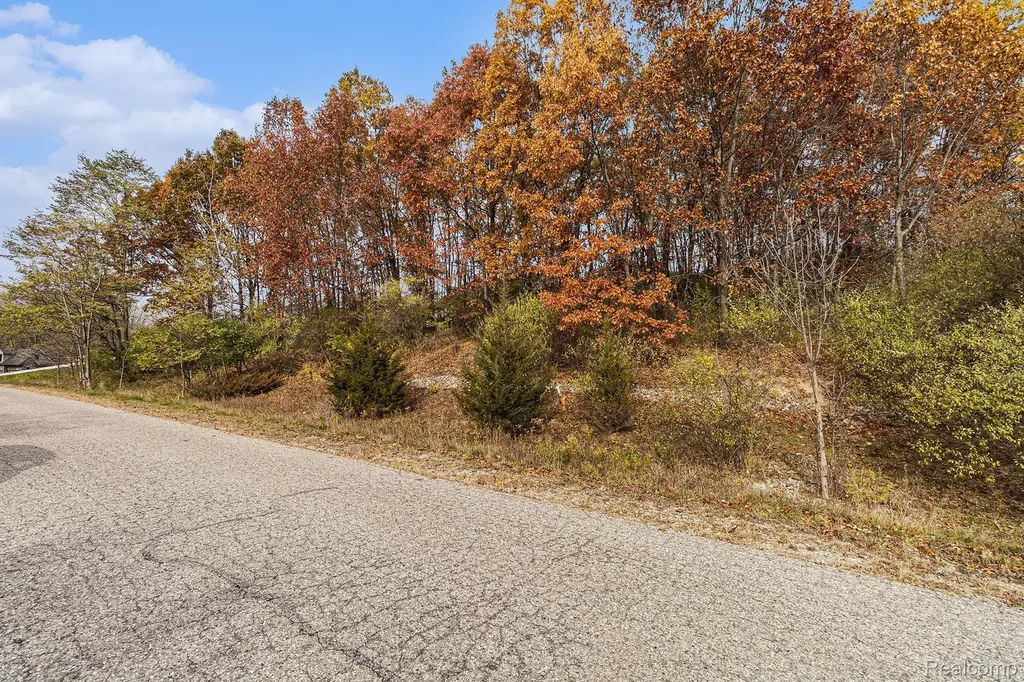 11136 Delphinium Drive Tyrone Township MI 48430