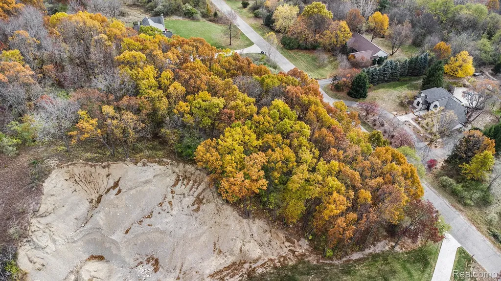 11136 Delphinium Drive Tyrone Township MI 48430