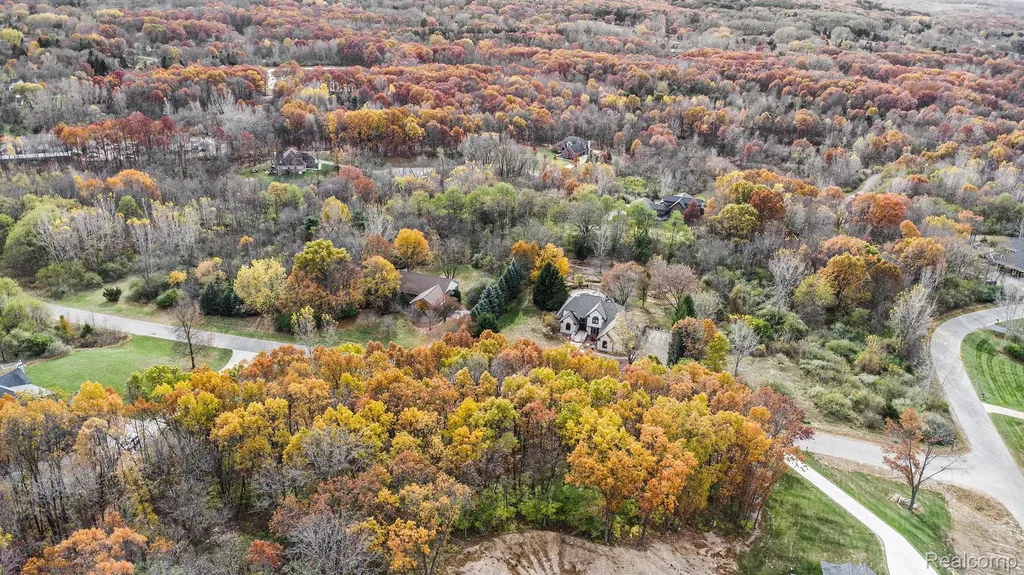 11136 Delphinium Drive Tyrone Township MI 48430