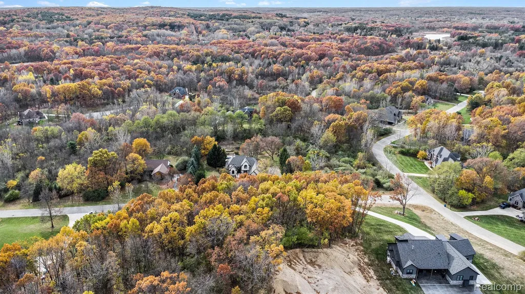 11136 Delphinium Drive Tyrone Township MI 48430
