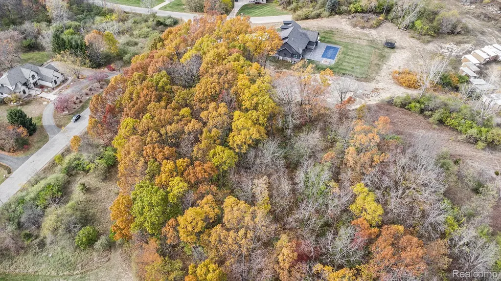 11136 Delphinium Drive Tyrone Township MI 48430