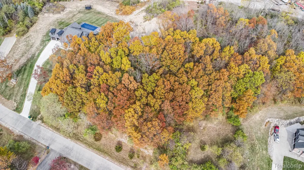 11136 Delphinium Drive Tyrone Township MI 48430